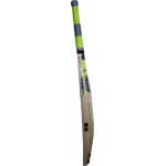 RS Robinson Warrior English Willow Cricket Bat (SH)